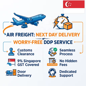 Service de fret aérien Chine-Singapour DDP - <span class=keywords><strong>Tout</strong></span> compris porte-à-porte avec 9 % de TVA et dédouanement (2-5 jours) - Product Image 3