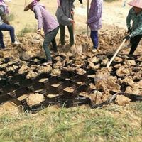 Геосетка из HDPE для восстановления карьеров и подпорных стен |   Реставрация открытых склонов: экологически чистое решение для улучшения состояния природы