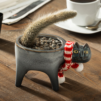 Pot collecteur de jardin Succulent avec égouttage, pratique pour les chats, pour le jardinage, en céramique, pour Cactus
