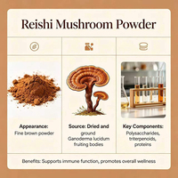 Poudre soluble de champignon Reishi pur naturel d'usine OEM, polysaccharides de Ganoderma, stimule le système immunitaire, favorise le sommeil, antioxydant