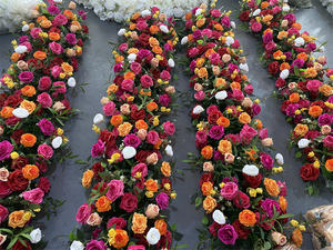 <span class=keywords><strong>Rose</strong></span> vif Orange fleur coureur mariage fleur boule pièce maîtresse artificielle <span class=keywords><strong>Rose</strong></span> fleur <span class=keywords><strong>chemin</strong></span> <span class=keywords><strong>de</strong></span> <span class=keywords><strong>Table</strong></span> pour mariage événement décor - Product Image 4