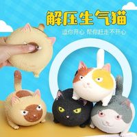 Jouet anti-stress chat en colère, peluche souple à presser, jouet de table, cadeau de fête pour la décompression