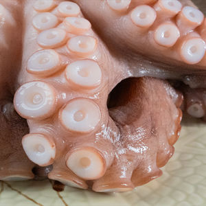 <span class=keywords><strong>Pulpo</strong></span> <span class=keywords><strong>Vivo</strong></span> Congelado IQF de Origen Fujian para Sushi, Listo para <span class=keywords><strong>Comer</strong></span>, Bolsa de 10 KG, Certificado HALAL Eastocean, 24 Meses de Caducidad - Product Image 4