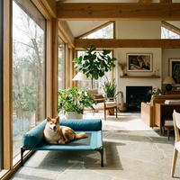 Lit surélevé moderne pour chien et chat, couleur Teal, directement de l'usine, imperméable, multifonctionnel, lavable, en maille respirante, mobilier pour animaux de compagnie pour la maison
