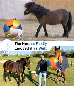 Nuevo Balón de Pastoreo 2026 para Perros con Asa, Juguete Interactivo Antimordiscos de Tela Oxford 900D para Entrenamiento y Ejercicio al Aire Libre - Product Image 5