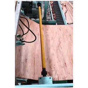 Penjualan terlaris mesin pengupas lapisan Veneer kayu lapis spindel hidrolik CNC BSY