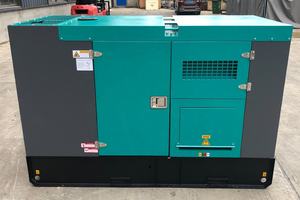 Generador Diésel <span class=keywords><strong>de</strong></span> 20kw con Caja <span class=keywords><strong>de</strong></span> Protección, Tipo Silencioso, Fabricado en EE. UU. - Product Image 4