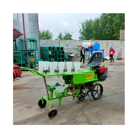Repiquage — planteur de légumes, Machine agricole pour plantes, herbes et poivre