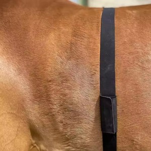 Высококачественная Bluetooth-система с монитором сердечного ритма, нагрудный браслет, переносная электроника, фитнес-трекер, датчик для наблюдения за лошадьми - Product Image 6