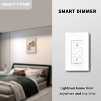 Interrupteur intelligent à un seul bouton DK02, variateur de lumière universel, 110V, compatible Alexa, interrupteur mural US