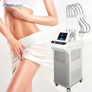 Rheinlaser 2024 Novo para Liposuction Lipo Laser Perda de Peso 1064Nm Diodo Laser Queima Celulite Equipamento de Salão de Beleza