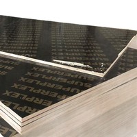 Panneau de coffrage en contreplaqué filmé noir WBP imperméable 18mm 2440x1220mm avec âme en eucalyptus, peuplier et pin pour la construction