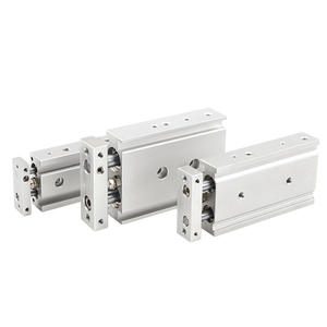 Cylindres à double tige TR6*10/20/25/30/40/50 à double cylindre - Product Image 2