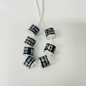 Bague de course pour pigeon 2024, multicolore, avec inscription, boucles d'oreilles//v - Product Image 1
