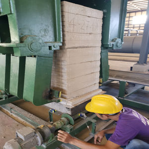 Pared exterior o interior/ALC/AAC, panel de suelo, máquina de ladrillos Aac - Product Image 6