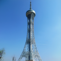 Tour en acier d'esthétique architecturale pour les stations de radio urbaines, les points touristiques et les plans directeurs de la télécommunication