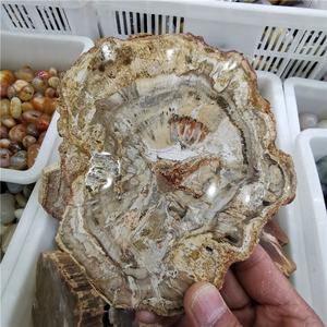 Patch de fossile en bois poli naturel, 100 pièces, en pierre brute, spécimen, vente en gros - Product Image 5