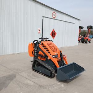 Chargeuse compacte de haute qualité fournie par la Chine, capacité de 380 kg, livraison gratuite - Product Image 1