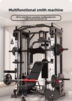 Dinuo Commercial All-in-One Smith Power Rack avec deux blocs de poids de 70 kg, crossover de câbles et presse pectorale pour un entraînement complet du corps