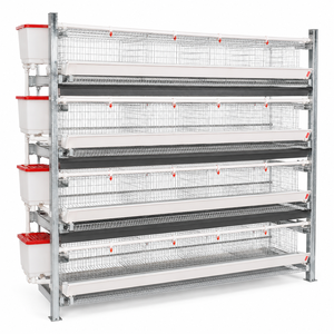 Equipo Completo <span class=keywords><strong>de</strong></span> Jaulas Tipo H para Gallinas Ponedoras con Sistema <span class=keywords><strong>de</strong></span> Alimentación, Bebederos, Recolección <span class=keywords><strong>de</strong></span> <span class=keywords><strong>Huevos</strong></span> y Eliminación <span class=keywords><strong>de</strong></span> Estiércol - Product Image 2