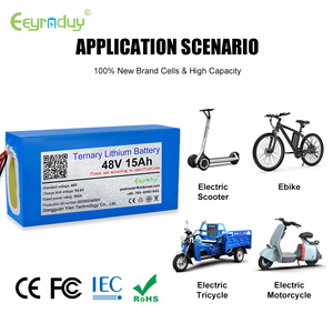 <span class=keywords><strong>Batterie</strong></span> de vélo électrique 24v <span class=keywords><strong>36v</strong></span> 48v 52v 60v 10ah 12ah 13ah 15ah 20ah 30ah 1000w 1500w Batteries au lithium pour scooter et vélo électrique - Product Image 5