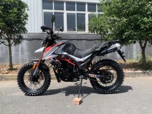 Motocyclettes chinoises FUEGO <span class=keywords><strong>TEKKEN</strong></span> <span class=keywords><strong>2</strong></span> Eec Motocyclette pas chère à vendre <span class=keywords><strong>TEKKEN</strong></span> II 22110105 - Product Image 2