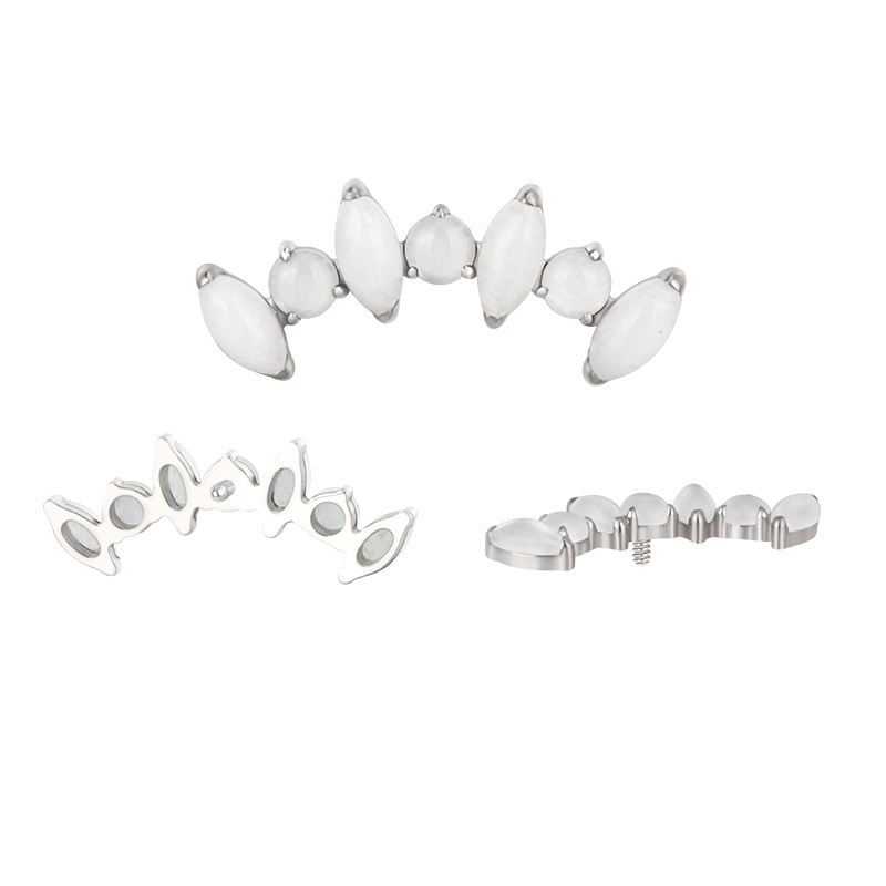 เปลือกหอยสีขาว