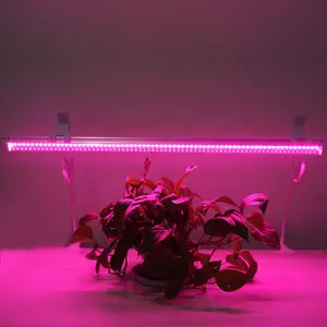 Grosir lampu led bar pink-Lampu Tembak Penumbuh Setrip LED Hidroponik Rumah Kaca Spektrum Penuh Merah Muda untuk Tanaman Medis
