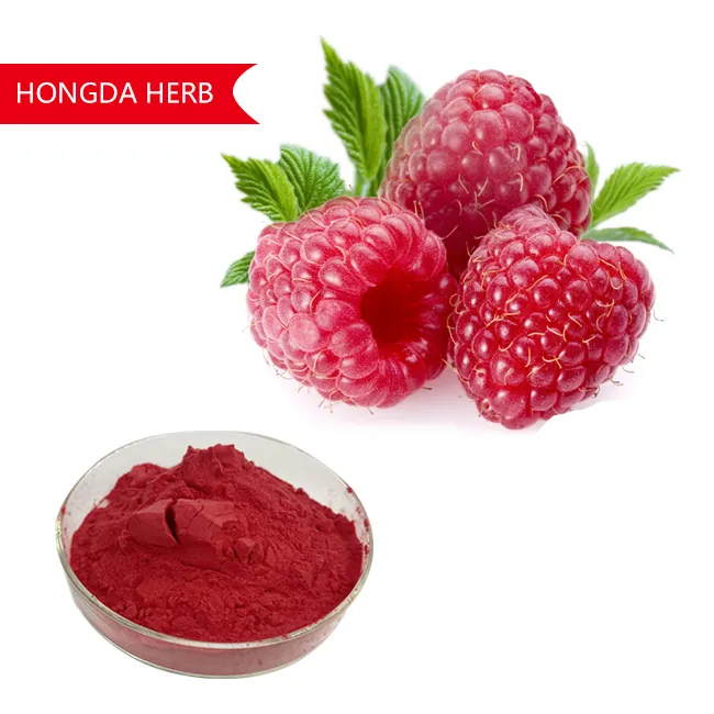 Hongda Fabriek Supply Pure Biologische Frambozen Poeder Raspberry Fruit Extract Raspberry Fruit Poeder