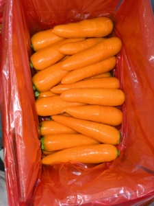 Chất Lượng Hàng Đầu Tươi Trung Quốc Cà Rốt Cung Cấp Màu Đỏ Vàng Trái Cây Cà Rốt Trung Quốc Cây Trồng Mới Cà Rốt - Product Image 2