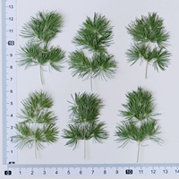Asparagus Fern Scrapbooking Epoxy Resin Tanaman Alami Ramah Lingkungan
