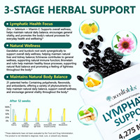 Acentiallabs Gélules de drainage lymphatique 4275mg Compléments nutritionnels pour le bien-être immunitaire Extraits végétaux Prêt pour la distribution