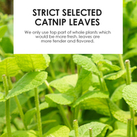 Vente en gros d'herbe à chat séchée de qualité supérieure 100% feuilles d'herbe à chat naturelle menthe en bouteille de 45ml d'herbe à chat comestible sans additif