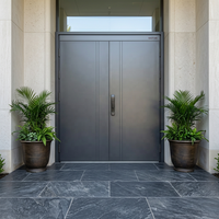 Porte d'entrée en aluminium coulé robuste, portes modernes en métal, porte double pour maison, villa, appartement et bureau