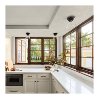 Ventanas abatibles con imagen de doble acristalamiento de aluminio y madera para exteriores franceses Diseño de huracanes