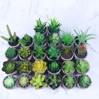 Plantes succulentes bonsaï Cactus en pot, fausses plantes vertes pour décoration de jardin, maison