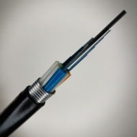 Cable de fibra óptica de modo único blindado enterrado directo personalizado Gyta 144 con funda doble de 4/24 núcleos para uso en exteriores