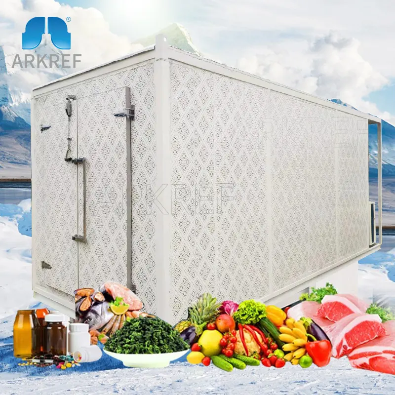 ARKREF 20ft Container Congelador, 40ft Cold Room Container