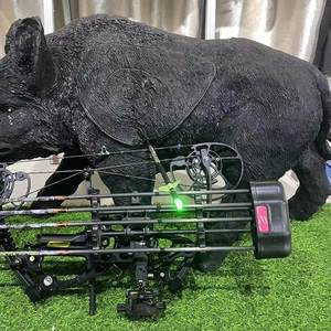 Pointes de flèches LED lumineuses G pour flèches .ID5.2mm 165 .204 .233 .244 .246 avec interrupteur marche/arrêt et bouchons H, S, GT - Product Image 5