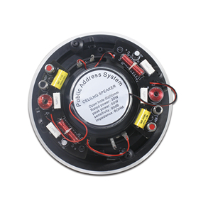 ลำโพงติดเพดาน 2 ทาง ขนาด 6.5 นิ้ว กำลังขับ 50 วัตต์ ที่ความต้านทาน 16 โอห์ม พร้อมครอสโอเวอร์และทวีตเตอร์ 2 ตัว รุ่น CP-650L - Product Image 3