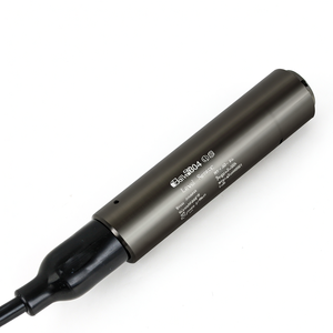 Sonde de niveau d'eau en acier inoxydable GLT100 100m 4-20mA avec protection IP68 pour l'irrigation agricole - Product Image 2