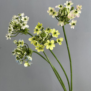 Flores Artificiales Bethlehem Star, Decoración para el <span class=keywords><strong>Hogar</strong></span>, Accesorios <span class=keywords><strong>de</strong></span> Fotografía, Artículos <span class=keywords><strong>de</strong></span> Decoración, Arreglos Florales para Bodas - Product Image 4
