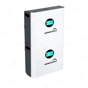 Batería de Almacenamiento de Energía 51.2V 100Ah 10kWh para Sistema Solar, Celda Recargable de Iones de Litio de Ciclo Profundo 48V con EMS Inteligente - Product Image 5