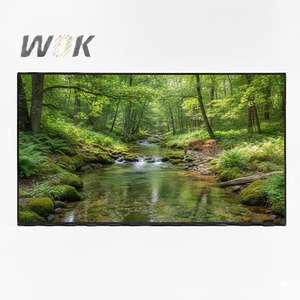 <span class=keywords><strong>Meilleur</strong></span> prix, écran de remplacement <span class=keywords><strong>OLED</strong></span> <span class=keywords><strong>55</strong></span> <span class=keywords><strong>pouces</strong></span> LE550PQW-HS-B1 pour téléviseur LG - Product Image 1