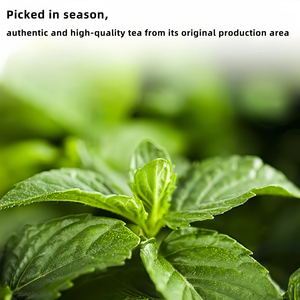 Té de Menta Verde Herbal 100% Natural al por Mayor, Procesado Fresco, Empacado a Granel, Té Adelgazante, Hoja de Menta Seca - Product Image 5