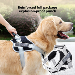 Nouvel Arrivage Harnais pour <span class=keywords><strong>Chien</strong></span> de Petite Taille en Nylon Personnalisé, Anti-Traction, Rembourré, Fermeture à Bouton, Écologique - Product Image 2