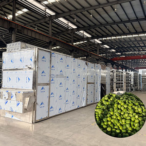 Máquina Secadora de Verduras de Gran Capacidad con Cinta de Malla, Máquina para Secar Guisantes Verdes, Máquina Secadora de Guisantes con Cinta de Malla - Product Image 1