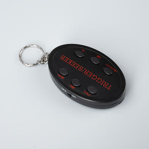 Porte-clés parlant de devise drôle avec son de voix d'idole Caractéristique de <span class=keywords><strong>concert</strong></span> à 6 boutons Accessoire d'électronique grand public Farces d'Halloween - Product Image 5