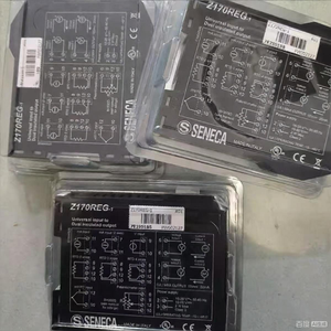 เครื่องคัดลอกรายการสัญญาณอุตสาหกรรมรุ่น Z170REG-1 โพลีบิวทิลีนเทเรฟทาเลต อินพุตอเนกประสงค์ เอาต์พุตแบบอะนาล็อก จ่ายไฟ AC/DC - Product Image 5
