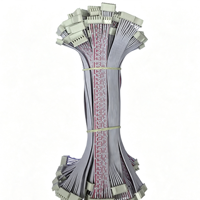 Câble plat XH 2,54 mm, rouge et blanc, faisceau de câbles, double connecteur blanc, câble de raccordement pour connexion interne des équipements d'éclairage
